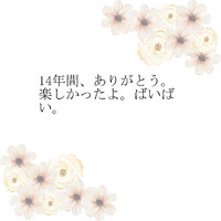 画像318