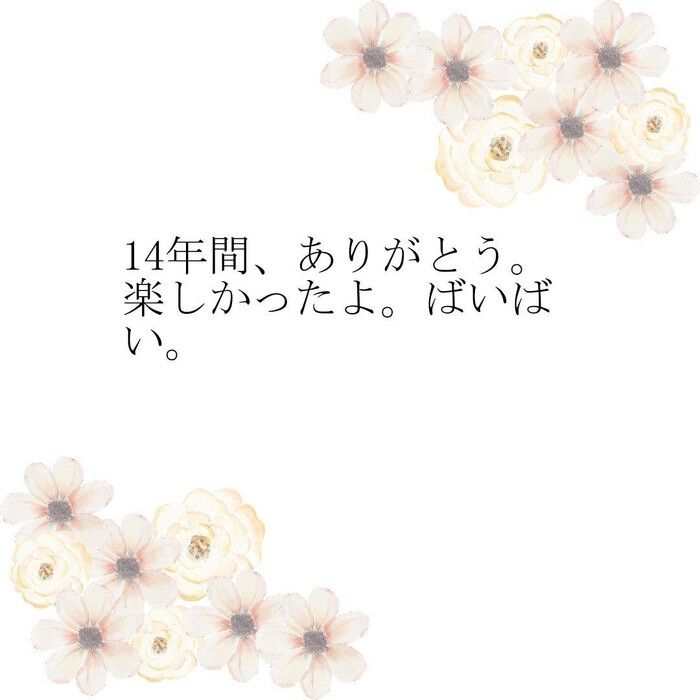 画像318